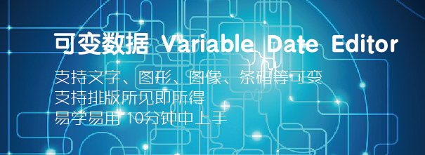 <b>可變數據 Variable Date Editor</b>